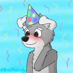 2021 anthro black_nose blush broitscody brown_eyes canid canine canis chest_tuft clothing cody_(broitscody) collar confetti_streamer domestic_dog embarrassed floppy_ears fur grey_body grey_fur grey_hair grey_tail hair hand_on_neck hat headgear headwear hi_res husky male mammal monotone_ears monotone_hair multicolored_body multicolored_fur nordic_sled_dog party_hat simple_background solo spitz tail tuft two_tone_body two_tone_fur two_tone_tail watermark white_body white_ears white_fur white_tail 