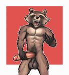  anthro athletic athletic_male balls big_balls big_penis emit genitals gesture guardians_of_the_galaxy hi_res male mammal marvel middle_finger muscular muscular_male penis procyonid pubes raccoon rocket_raccoon saggy_balls sharp_teeth small_but_hung smile smirk solo teeth 
