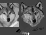  black_and_white canid canine canis diesel_(artist) feral headshot_portrait male mammal monochrome mouth_closed portrait shaded simple_background solo tonal_drawing wolf 