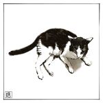  absurdres animal animal_focus cat greyscale highres lying monochrome no_humans on_side original shadow yk_funa 