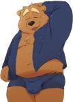 0ottotto0 2023 anthro bear black_nose brown_body bulge clothing eyes_closed hi_res kemono male mammal overweight overweight_male shirt simple_background solo topwear underwear white_background 