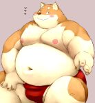  2023 anthro belly big_belly blush canid canine canis clothing domestic_dog humanoid_hands kemono male mammal meg_hoi moobs navel nipples overweight overweight_male red_clothing red_underwear simple_background sitting solo underwear 
