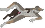  anatomically_correct andromorph animal_genitalia animal_penis animal_pussy anthro anthro_on_feral belly_nipples bestiality bird_dog black_nose black_pawpads blep brown_body brown_fur cackling-beast canid canine canine_genitalia canine_penis canine_pussy canis clitoris coyote daydream_(cackling-beast) domestic_dog duo enlarged_clitoris feral fur genitals green_eyes grey_body grey_fur hi_res hunting_dog intersex intersex/male labrador lying male male/male mammal mastectomy_scar on_side orange_body orange_fur pawpads penis pivoted_ears pussy raised_leg retriever scar self_harm_scars tongue tongue_out vaginal 