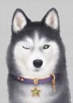  animal_collar animalization chain collar dog green_eyes husky jojo_no_kimyou_na_bouken kujo_jotaro lanxjourney no_humans scar scar_across_eye solo star_ornament stone_ocean 