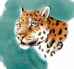  ambiguous_gender black_spots digital_media_(artwork) felid feral headshot_portrait hi_res jaguar leopard_spots mammal pantherine pink_nose portrait saeto15 solo spots whiskers yellow_eyes 