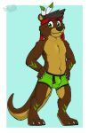  2019 anthro biped black_hair black_nose black_seam_underwear blue_background border brown_body brown_ears brown_fur brown_inner_ear brown_tail bulge claws clothed clothing colored_seam_underwear cute_fangs detailed_bulge fur gaokun green_body green_clothing green_eyes green_fur green_underwear hair hi_res inner_ear_fluff male mammal monotone_ears monotone_hair mostly_nude multi_tone_fur mustelid otter partially_clothed simple_background solo tail toe_claws tuft two_tone_tail underwear watermark white_border 