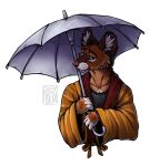  anthro asian_clothing brown_body brown_fur canid canine clothed clothing cosplay dhole east_asian_clothing fan_character fingerless_(marking) fur hi_res holding_object holding_umbrella inner_ear_fluff japanese_clothing kimono male mammal mob_psycho_100 one_(manga) ruedi serizawa_katsuya shirt snout solo topwear tuft umbrella whiskers 
