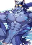  2022 abs anthro armpit_hair balls biceps blue_body blue_fur body_hair canid canine canis chung0_0 fur genitals hi_res humanoid_genitalia humanoid_penis lifewonders male mammal muscular muscular_anthro muscular_male nipples nude pecs penis solo tindalos_(tas) tokyo_afterschool_summoners water wolf 