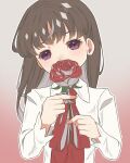  1girl blunt_bangs blush brown_hair child commentary_request eyelashes flower gradient_background hands_up head_tilt highres holding holding_flower ib ib_(ib) long_hair long_sleeves looking_at_viewer neck_ribbon pink_background red_eyes red_flower red_ribbon red_rose ribbon rose shirt simple_background solo taku_hanamiyap upper_body white_background white_shirt 