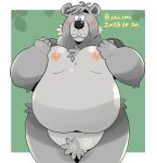  2023 absurd_res anthro bear belly big_belly biped black_nose cute_fangs fur grey_body grey_fur hi_res kemono m2vcjtad5hsdvla male mammal moobs nipples overweight overweight_male simple_background solo 