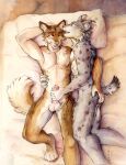  2023 akatan_art anthro anthro_on_anthro balls bed brown_body brown_fur butt butt_grab canid cheek_tuft chest_tuft dated duo erection facial_tuft felid front_view fur furniture genitals grey_body grey_fur hand_on_butt handjob hi_res humanoid_genitalia humanoid_penis lying male male/male mammal neck_tuft on_back on_bed on_side open_mouth open_smile penile penis pink_penis sex side_view signature smile spots spotted_arms spotted_body spotted_fur spotted_legs tuft white_balls white_body white_fur 