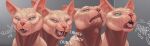  absurd_res domestic_cat epeon fatal felid feline felis feral hairless hairless_cat hi_res macro male mammal meeko micro sphynx_(cat) vore 