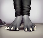  absurd_res anthro bare bottomwear canid canine canis chucks claws clothing converse domestic_dog feet fetish fox furry grey hi_res male male/male mammal muffinvinvin pants paws solo switch_(disambiguation) toes tops white wolf 