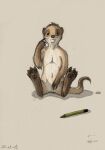  after_transformation brown_body brown_fur claws eleode feral finger_claws fur herpestid male mammal meerkat nude pawpads pencil_(object) simple_background sitting solo toe_claws whiskers 