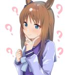  1girl ? animal_ears blue_eyes blush brown_hair closed_mouth grass_wonder_(umamusume) highres horse_ears horse_girl long_hair long_sleeves sakieko school_uniform simple_background solo tracen_school_uniform umamusume white_background 