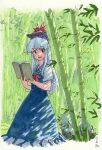  1girl bamboo bamboo_forest blue_dress blue_hair blue_headwear blush book border collared_dress dappled_sunlight dress fading_border feet_out_of_frame forest hands_up hat highres holding holding_book kamishirasawa_keine light_blue_hair long_hair looking_at_viewer nature neckerchief open_book open_mouth outside_border puffy_short_sleeves puffy_sleeves raised_eyebrows red_eyes red_neckerchief rock scan shiratama_(hockey) short_sleeves sidelocks signature solo sunlight touhou traditional_media white_border 