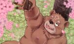  anthro bear blush bodily_fluids brown_body brown_fur crave_saga cum cum_on_face fur gabu_(crave_saga) genital_fluids green_eyes hikoero777 male mammal moobs nipples overweight pawpads solo 