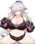  1girl absurdres animal_ears animal_hands arknights bare_shoulders black_shorts blush breasts cat_ears cat_tail cleavage commentary_request crop_top gloves grey_hair hair_over_one_eye highres large_breasts long_hair looking_at_viewer micro_shorts midriff navel nose_blush paw_gloves rikuguma schwarz_(arknights) shorts simple_background sitting solo stomach tail thighs very_long_hair white_background yellow_eyes 