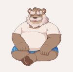  2023 anthro bear beard belly big_belly brown_body clothing eddga_go eyes_closed facial_hair kemono male mammal mature_male mustache overweight overweight_male scar shirt simple_background sitting solo topwear underwear 