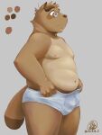  2023 anthro belly brown_body brown_fur bulge canid canine clothing eyewear fur glasses hi_res humanoid_hands kemono kounosuke_(morenatsu) male mammal mesidukainumaru moobs morenatsu navel nipples overweight overweight_male raccoon_dog solo tanuki underwear 