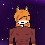  1:1 anthro artist_marisa canid canine character_marisa digital_media_(artwork) female fox looking_at_viewer mammal marisa pixel_(artwork) solo 