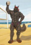  ankh anthro balls bandanna beach black_body black_fur canid canine canis clothing footwear fur genitals hi_res humanoid_genitalia humanoid_penis kerchief looking_at_viewer lupine_assassin male mammal muscular penis sandals sea seaside solo sport thaz_(artist) volleyball water wolf 