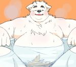  2023 anthro bathing belly big_belly blush bodily_fluids canid canine canis domestic_dog hi_res inunoshippo kemono male mammal moobs overweight overweight_male solo steam sweat water 