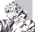  1boy animal_ears arknights bara blue_eyes facial_hair from_side furry furry_male goatee hagrang hand_on_own_neck large_hands large_pectorals looking_at_viewer male_focus mountain_(arknights) muscular muscular_male nude pectorals scar scar_across_eye scar_on_arm scar_on_chest short_hair solo thick_eyebrows tiger_boy tiger_ears too_many_scars upper_body white_hair 