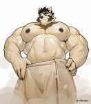 2023 5_fingers after_shower anthro artist_name biceps big_pecs black_hair canid canine canis chest_tuft claws domestic_dog doooo2424 facial_hair finger_claws fingers fur hair hands_on_waist hi_res looking_at_viewer male mammal musclegut muscular muscular_anthro muscular_male nipples pecs shirtless sideburns solo steam towel triceps tuft wet wet_body wet_fur 