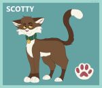  brown_body brown_fur collar domestic_cat felid feline felis feral fur hi_res male mammal model_sheet mr._blue_(artist) pawpads paws scotty_(mr._blue) solo white_body white_fur 