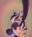  2021 aardwolfz andromorph anthro black_eyes blush bodily_fluids collar cuff_(restraint) ear_piercing eyebrow_piercing facial_piercing fur hair halo harv_(aardwolfz) hi_res hyena intersex leash mammal mastectomy_scar multicolored_hair piercing restraints scar solo stripes sweat tan_body tan_fur two_tone_hair wrist_cuffs wrists_tied 