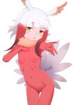  1girl bird_tail blunt_bangs blush breasts brown_eyes commentary fur_collar gradient_hair hand_on_own_chest head_wings highres japanese_crested_ibis_(kemono_friends) kemono_friends long_hair looking_at_viewer masuyama_ryou multicolored_hair navel nipples open_mouth outstretched_arm pussy red_bodystocking red_hair simple_background small_breasts solo tail thigh_gap white_background white_hair yellow_eyes 