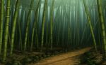  bamboo bamboo_forest bamboo_shoot dappled_sunlight forest game_cg justinas_vitkus landscape leaf nature no_humans official_art outdoors path rock sunlight third-party_source touhou touhou_cannonball tree 