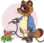  animal_crossing anthro balls bathrobe belly big_balls brown_body brown_fur canid canine cigarette clothing flaccid flower footwear foreskin fur genitals hi_res male mammal mature_male navel nintendo nipples overweight penis plant raccoon_dog robe sandals smoking solo tanuki tbid tom_nook_(animal_crossing) water_hose watering_plants 