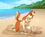  anthro bat beach beach_sex breast_grab breasts canid canine canis cowgirl_position domestic_dog duo female female_penetrated from_front_position fur genitals hair hand_on_breast hi_res husky lonbluewolf male male/female male_on_bottom male_penetrating mammal nipples nordic_sled_dog nude on_bottom on_top penetration penis pussy riley_(dbravefurry113) seaside sex smile spitz tail turo_of_akesh vaginal wingless_bat 