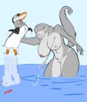  anthro avian bikini bird clothed clothing duo female furryma69 hi_res humanoid leopard_seal male male/female mammal marine penguin pinniped seal swimwear topless voyeur 