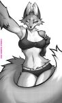  2022 anthro canid canine cheek_tuft clothed clothing digital_media_(artwork) facial_tuft falvie female fluffy fluffy_tail fox fur hi_res inner_ear_fluff mammal midriff navel one_eye_closed simple_background solo tail tuft white_background 