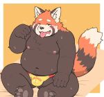  2023 ailurid anthro belly big_belly black_body bodily_fluids bulge clothing kemono kotadash male mammal moobs navel nipples orange_body overweight overweight_male red_panda sitting solo sweat tongue tongue_out underwear 