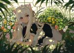  1girl absurdres animal_ear_fluff animal_ears apron arm_rest black_shirt black_skirt branch bush cat_ears cat_girl cat_tail closed_mouth day flower frilled_apron frilled_skirt frills greenhouse hand_up highres indoors kgt_(pixiv12957613) long_bangs looking_at_viewer lying maid maid_headdress neck_ribbon on_side original pantyhose paw_pose plant pleated_skirt puffy_short_sleeves puffy_sleeves purple_eyes raised_eyebrows red_flower red_ribbon red_tulip ribbon shirt short_sleeves sidelocks skirt smile solo tail tulip white_apron white_flower white_hair white_pantyhose white_tulip window 