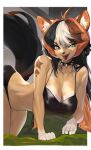  all_fours anthro bra breasts brown_body brown_fur clothing collar female fur green_eyes hair hi_res mammal multicolored_hair open_mouth panties solo tail tongue tongue_out underwear woobin94 