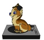  2012 aliasing alpha_channel ambiguous_gender animated black_body black_fur blue_(bluekyokitty) blue_eyes blue_nose blue_tongue bluekyokitty brown_body brown_fur canid canine canis digital_media_(artwork) digitigrade domestic_dog feral flat_colors fur grey_sclera head_tuft herding_dog loop low_res mammal one_ear_up open_mouth open_smile pastoral_dog paws record_player sebdoggo simple_background sitting smile solo spinning tan_body tan_fur thumbnail tongue transparent_background tuft turntable_(record_player) welsh_corgi 