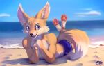  2020 absurd_res anthro beach canid canine clothing fennec fox furry hi_res mammal nma not_my_art paws rennearc seaside swimwear zephyxus 