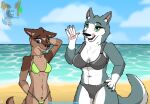  2023 5_fingers absurd_res akita anthro beach big_breasts bikini bikini_bottom bikini_top blue_body blue_eyes blue_fur breasts brown_body brown_fur canid canine canis claws clothed clothing comicstormcreations daughter digital_drawing_(artwork) digital_media_(artwork) domestic_dog duo ears_down eyebrows eyelashes female female/female fingers fur green_bikini green_clothing green_eyes green_swimwear hair hi_res holidays humanoid_hands husky inner_ear_fluff licking licking_lips long_tail looking_at_viewer mammal markings mature_female medium_breasts mother mother_and_child mother_and_daughter nature navel nordic_sled_dog open_mouth open_smile outside parent parent_and_child pivoted_ears sand sea seaside shaded shoreline short_hair simple_background size_difference sky slim small_waist smile spitz string_bikini swimwear tail tan_body tan_fur thick_thighs tongue tongue_out tuft underwear water white_body white_fur wide_hips 