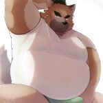 2023 anthro belly big_belly black_nose blush bulge canid canine canis clothing domestic_dog hi_res kemono lifewonders male mammal metaporin overweight overweight_male scar shirt solo tokyo_afterschool_summoners topwear underwear yasuyori 
