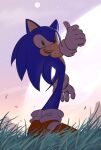 1boy chaosrice gloves grass green_eyes highres looking_at_viewer open_mouth outdoors shoes sky solo sonic_(series) sonic_the_hedgehog standing teeth thumbs_up white_gloves 