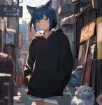  1girl absurdres animal_ears blue_eyes blue_hair cat cat_ears highres hood hooded_jacket hyakka_(momokashinryu14) jacket original outdoors parted_bangs road street 