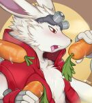  anthro bare_chest blush carrot clothing eyewear fluffy_chest food food_fetish fur goggles impboyz king_kazma lagomorph leporid long_ears male mammal plant rabbit red_clothing red_eyes solo suggestive suggestive_food summer_wars topwear vegetable vest white_body white_fur 