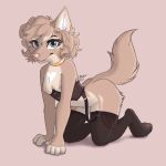  anthro anya_(meg) blue_eyes breasts canid canine canis clothing collar domestic_dog fur hi_res jewelry kneeling kumotta lingerie looking_at_viewer mammal necklace nipples tail tan_body tan_fur 