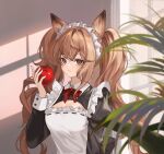  1girl alternate_costume angelina_(arknights) animal_ears apple apron arknights bow bowtie brown_eyes brown_hair commentary_request enmaided food fox_ears fruit highres holding holding_food holding_fruit juliet_sleeves long_hair long_sleeves looking_at_viewer maid maid_headdress parted_lips puffy_sleeves red_bow red_bowtie solo teen_a upper_body very_long_hair white_apron 