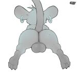  2023 4_toes anthro backsack balls big_balls big_butt big_ears body_hair bubble_butt butt butt_hair crimetxt didelphid digital_drawing_(artwork) digital_media_(artwork) ear_piercing feet fylk genitals hi_res looking_away male mammal marsupial monochrome nude piercing presenting presenting_hindquarters raised_tail rear_view ring_piercing short short_male simple_background soles solo tail teapot_(body_type) toes virginia_opossum 